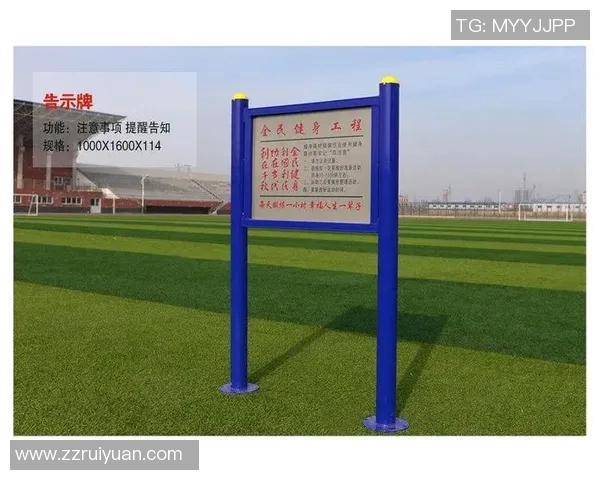 探索体育器材肋木架的设计与应用提升运动体验与安全性的创新方案